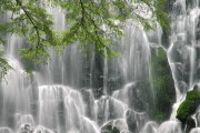 世界登山青年导师生态修复项目优秀案例展播启动，登山专家