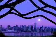 2026世界杯赔率更新：热门与冷门解析，世界杯赔付率最高一场