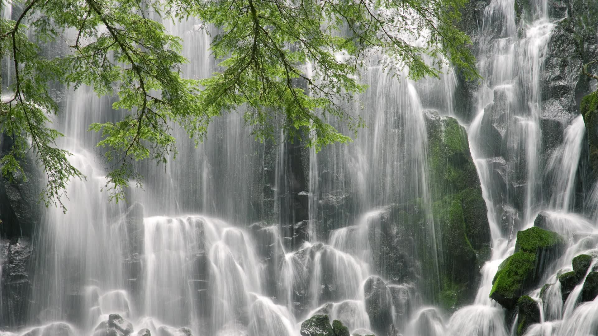 世界登山青年导师生态修复项目优秀案例展播启动，登山专家